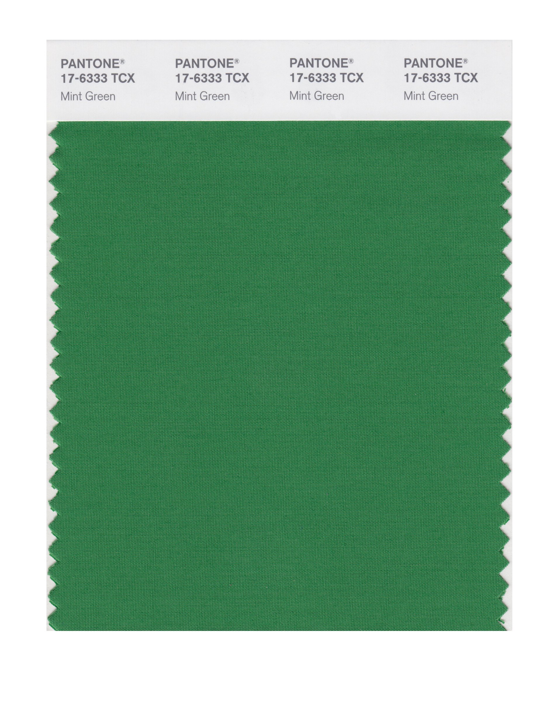 PANTONE SMART 17-6333X Color Swatch Card, Mint Green - House Paint